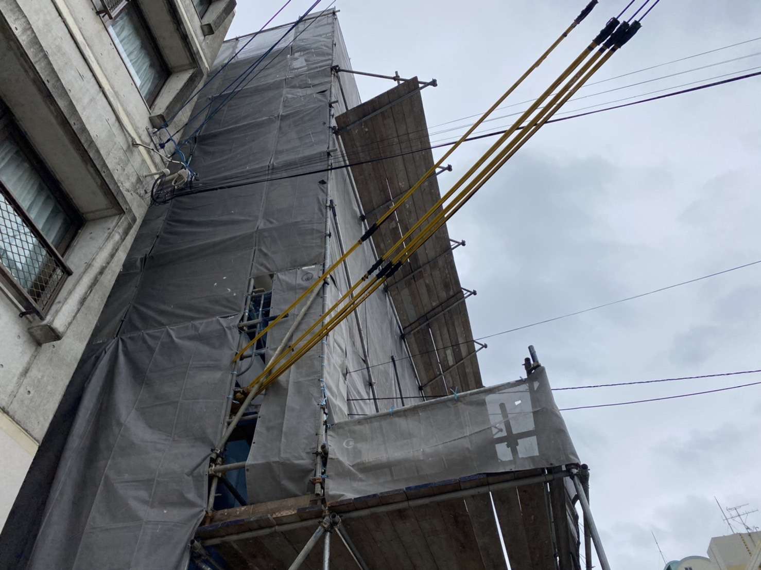 道路申請の代行、アーケード、アサガオ、